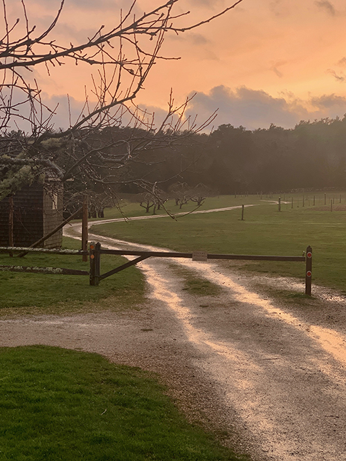 Bourne Farm sunset after rain