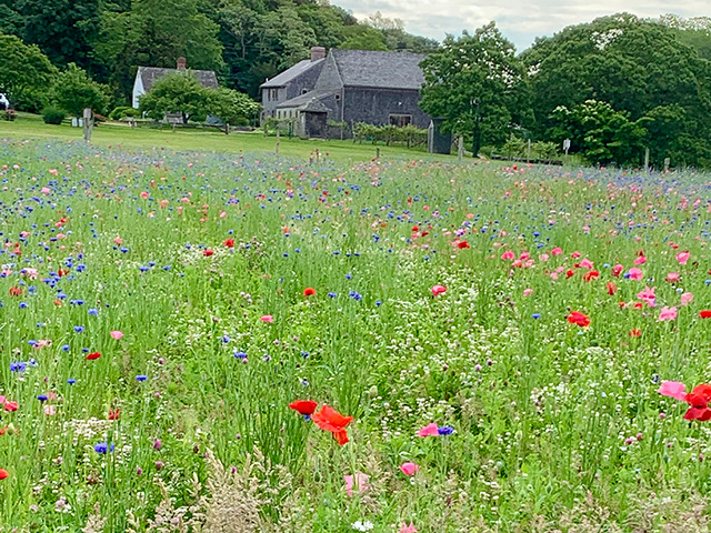 Bourne Farm