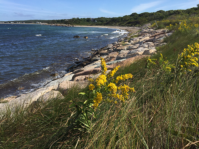 The Knob beach