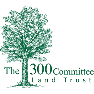 300 Committee logo