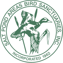 Salt Pond Area Bird Sanctuaries