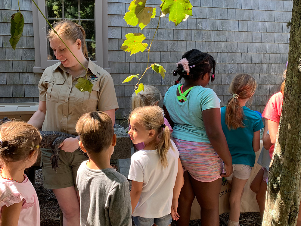 Outdoor Discoveries children's summer nature camp