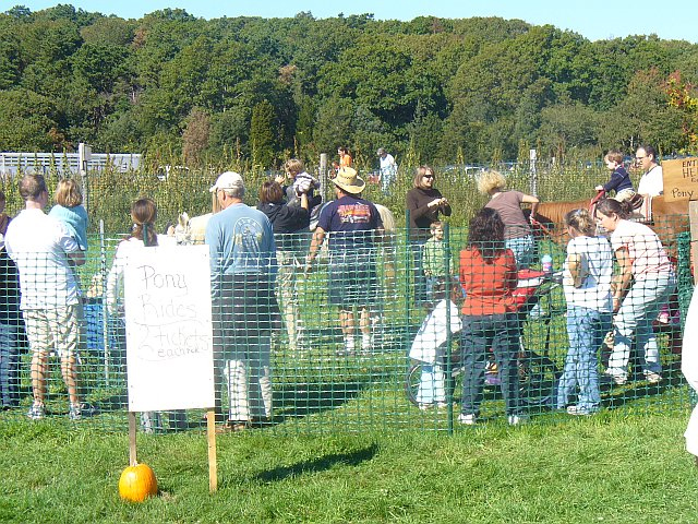 Pumpkin Day at Bourne Farm, Falmouth, MA