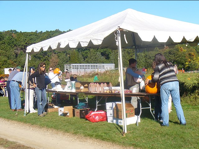 Pumpkin Day at Bourne Farm, Falmouth, MA