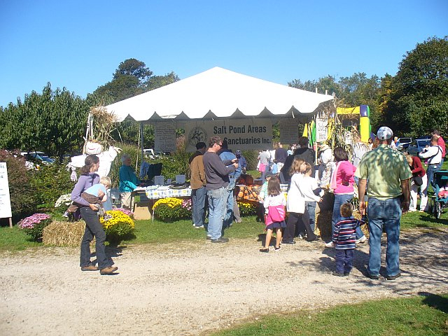 Pumpkin Day at Bourne Farm, Falmouth, MA