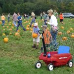 Pumpkin Day at Bourne Farm