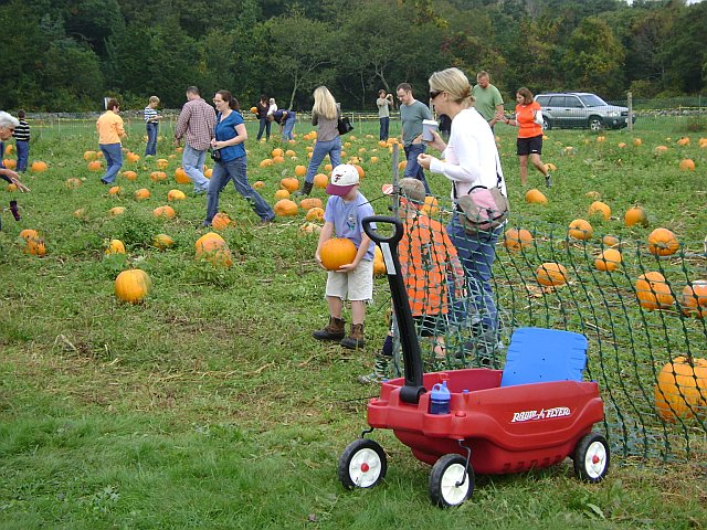 Pumpkin Day at Bourne Farm, Falmouth, MA