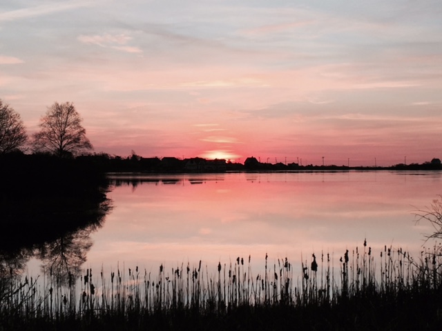 Salt Pond at Sunset