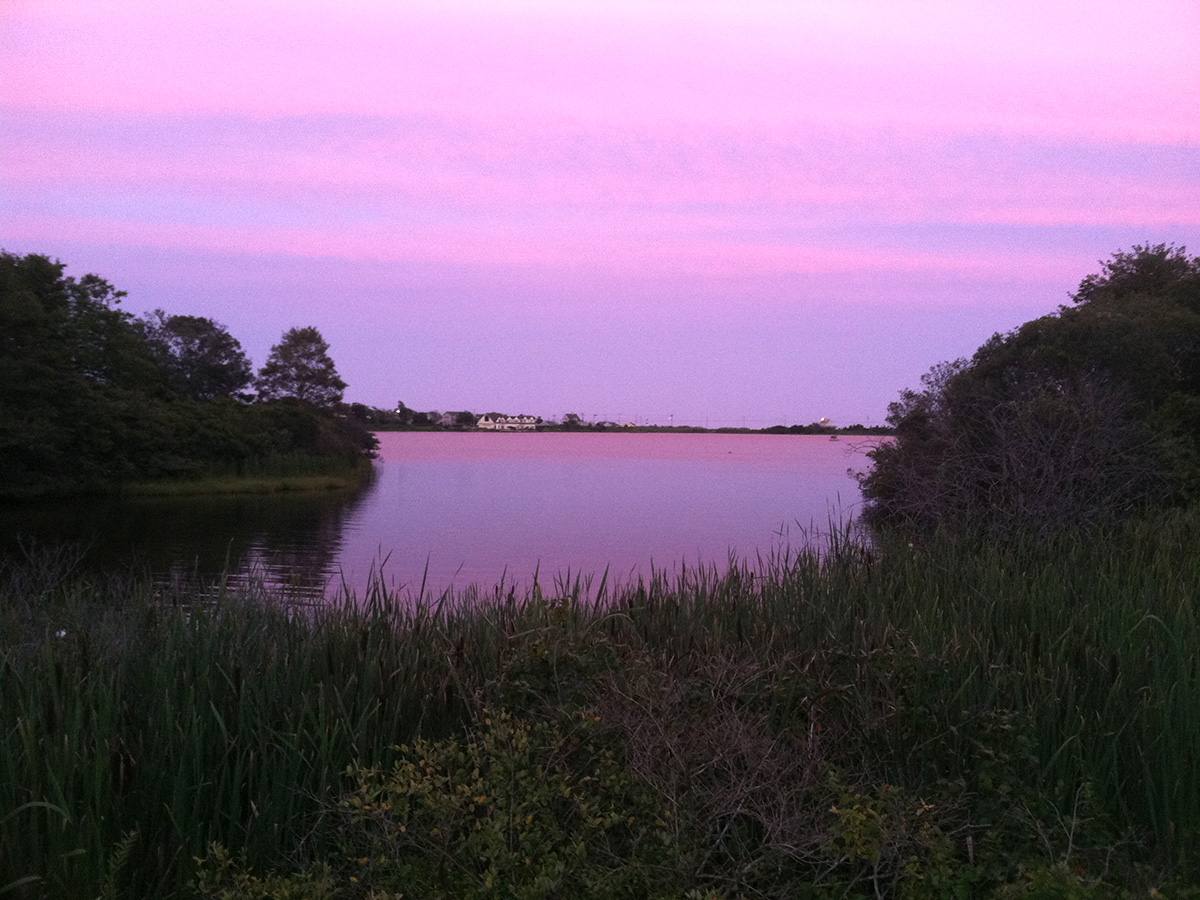 Salt Pond in Falmouth