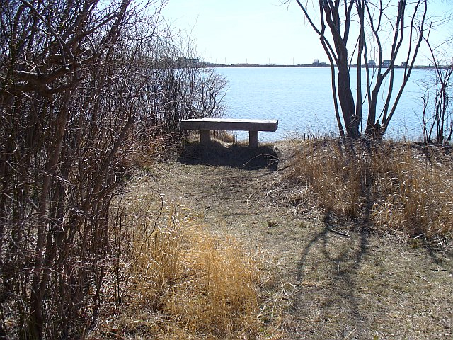 Salt Pond Bench