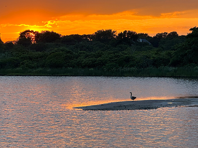 salt pond sunset